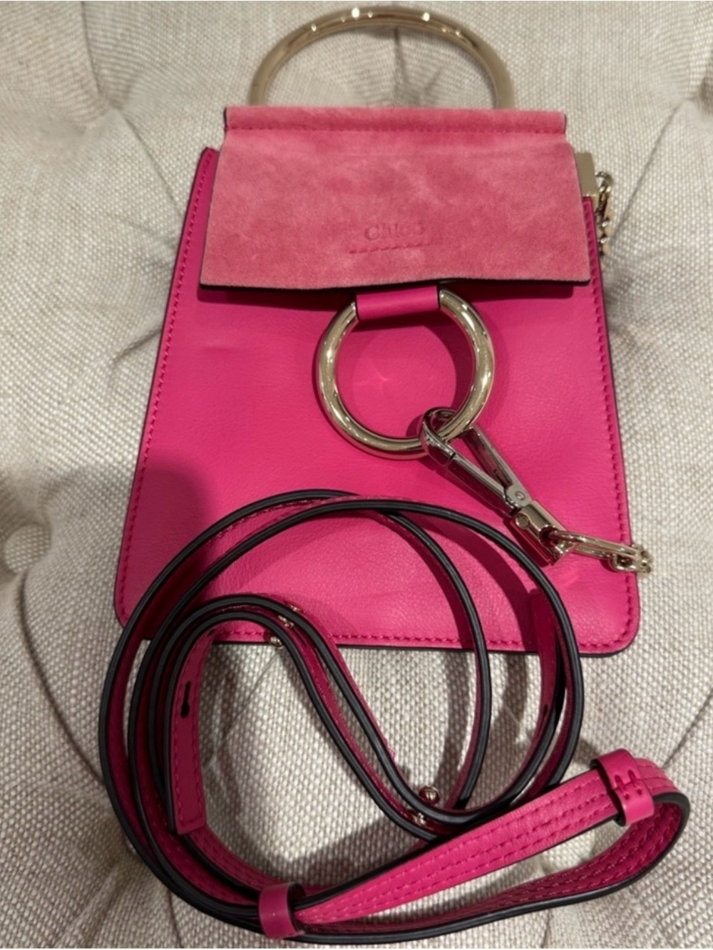 Chloe Suede Interior Bag with Neutral Leather Trim and Pink Accents